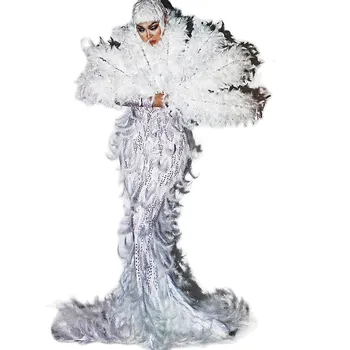 Köpüklü Sequins Rhinestones Uzun Firar Tüy Elbiseler Gece Kulübü Dans Gösterisi Giyim Tiyatro Performansı Kostüm Kadınlar İçin