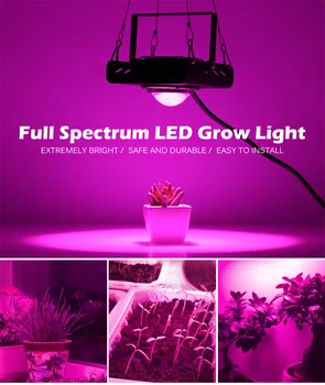 COB LED büyümek ışık Tam spektrum 100W soğutma fanı Hidroponik sera bitkisi Büyüme aydınlatma AC110V-220V